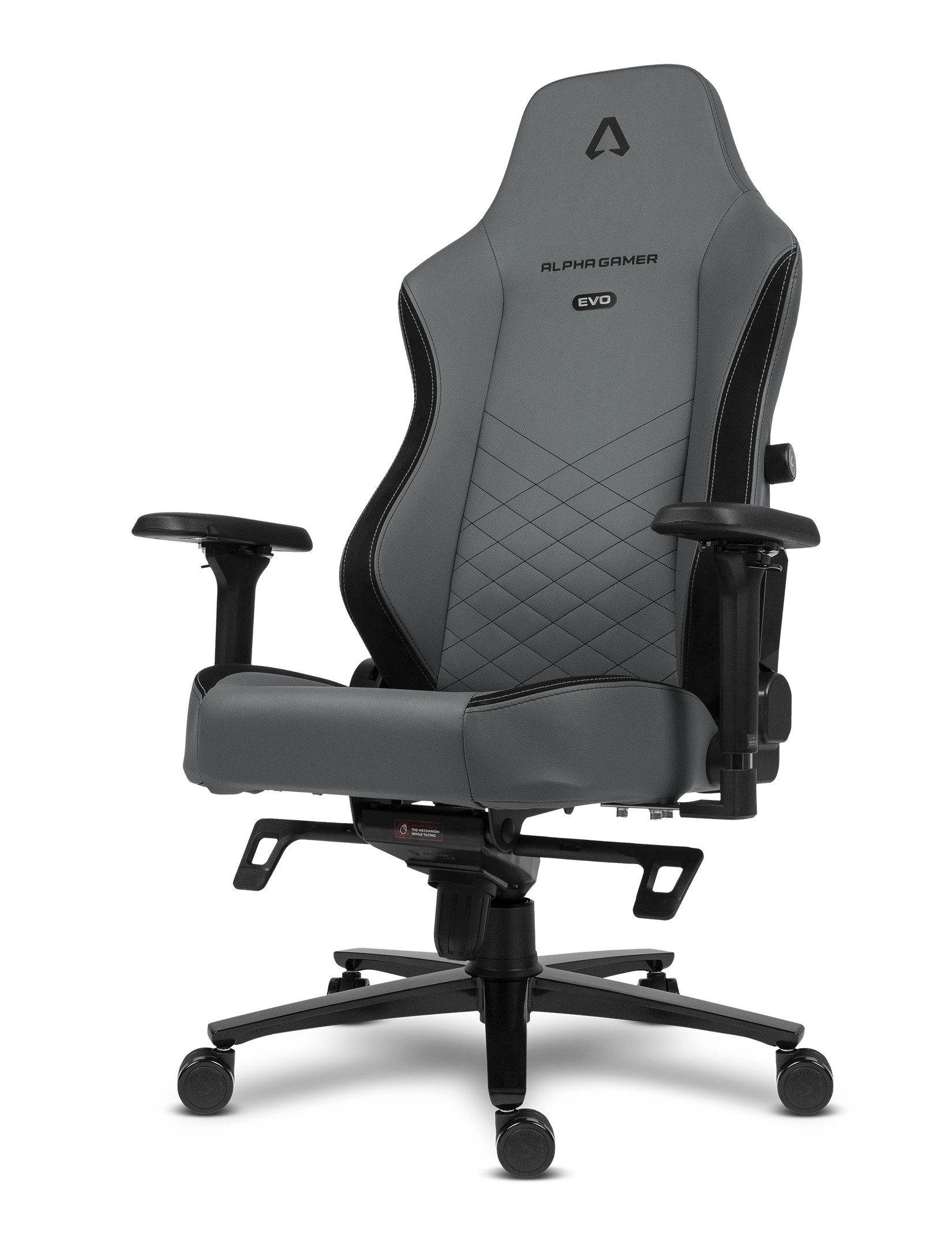 Alpha Gamer Alegra Evo